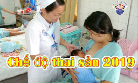 chế độ thai sản năm 2019 chế độ thai sản năm 2019