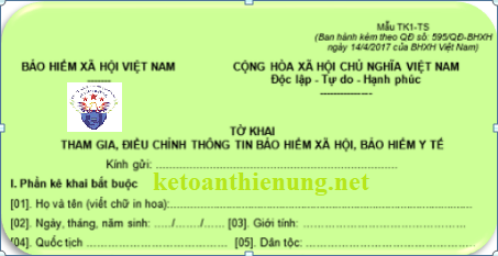 Mẫu TK1-TS theo Quyết định 595 Mẫu TK1-TS theo Quyết định 595