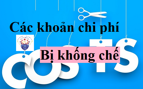các khoản chi phí bị khống chế các khoản chi phí bị khống chế