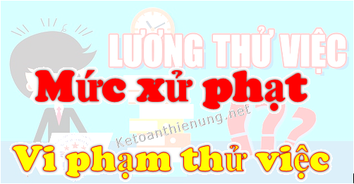 Mức xử phạt vi phạm thử việc Mức xử phạt vi phạm thử việc