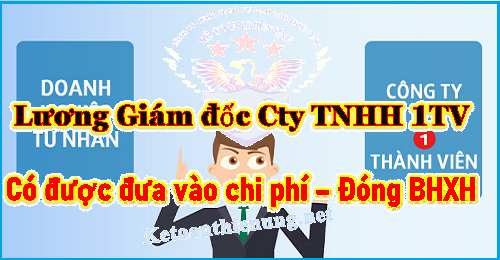 Quy định về tiền lương của giám đốc Công ty TNHH 1TV, DNTN