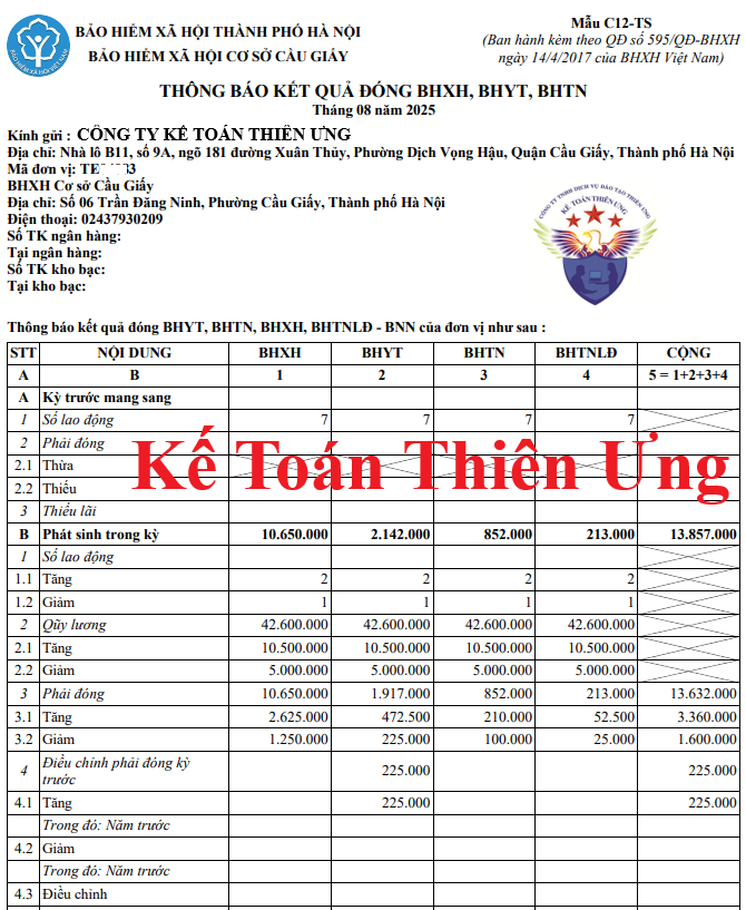 Mẫu C12-TS