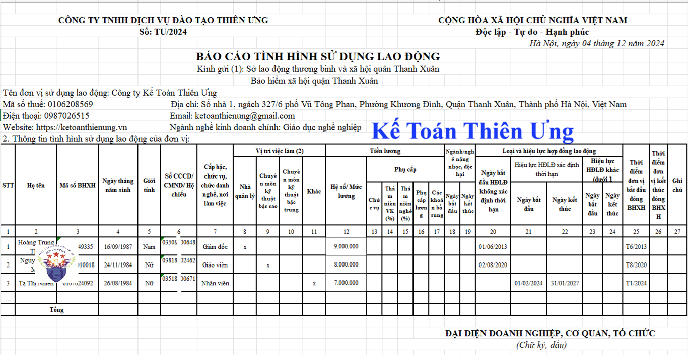 Mẫu báo cáo tình hình sử dụng lao động