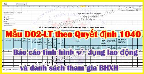 Mẫu D02-LT theo QĐ 1040 Báo cáo lao động tham gia BHXH