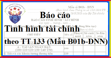 Mẫu báo cáo tình hình tài chính B01b-DNN theo TT 133