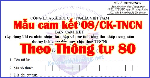 Mẫu cam kết thuế TNCN 08/CK-TNCN mới nhất năm 2024 